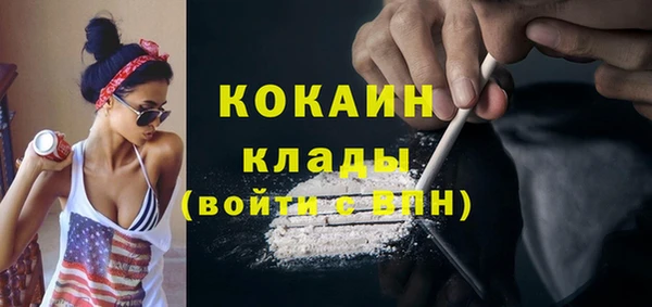 стафф Болотное