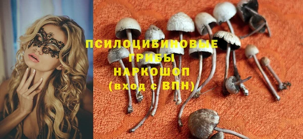ГАЛЛЮЦИНОГЕННЫЕ ГРИБЫ Тихвин