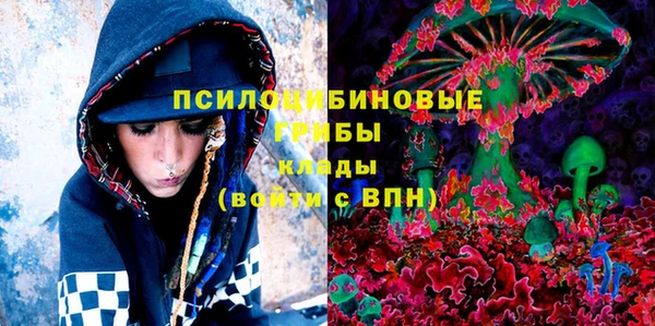 стафф Болотное