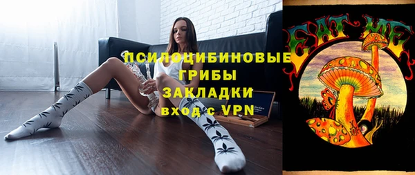 шишки Болхов