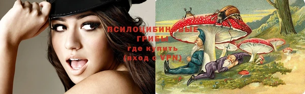 шишки Болхов