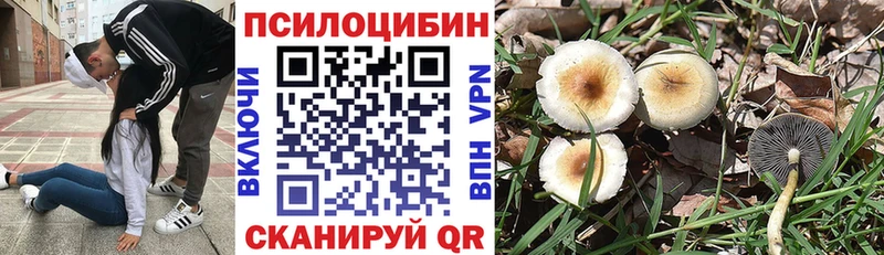 Галлюциногенные грибы ЛСД  цены наркотик  Чистополь 