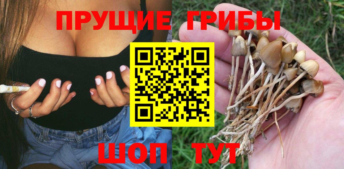 Псилоцибиновые грибы GOLDEN TEACHER Чистополь