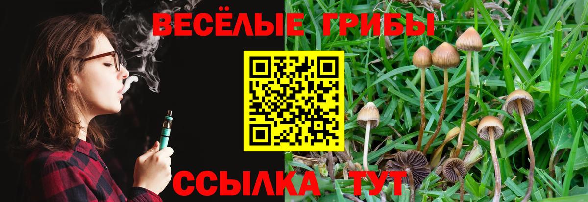 Галлюциногенные грибы ЛСД Чистополь