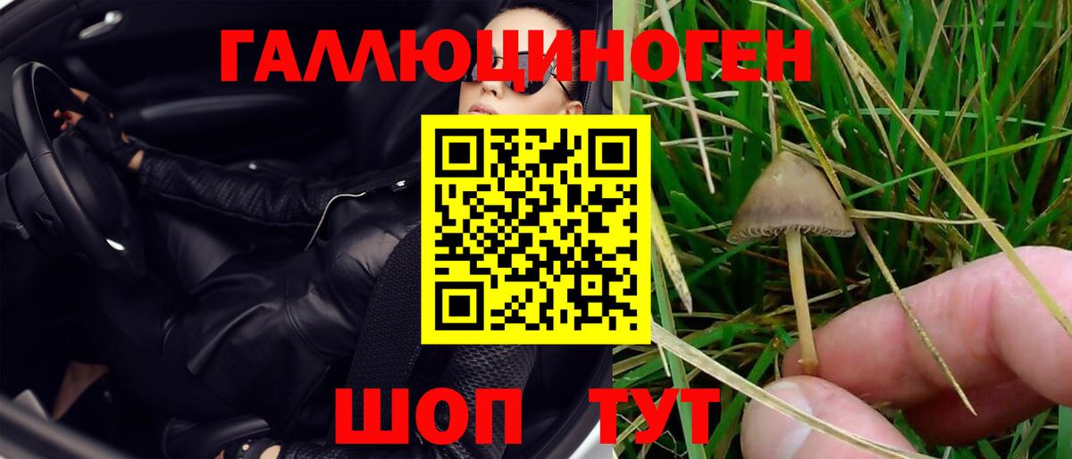 Чистополь  Псилоцибиновые грибы Cubensis  купить   Вход с VPN 